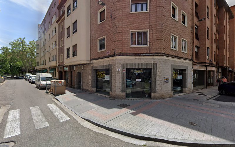 Negocio Abc Plagas Palencia