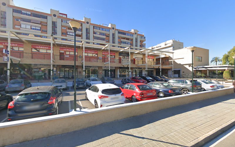 Negocio Alisan Desinfecciones Control De Plagas En Alicante | Desratización, Legionella Y Desinfección