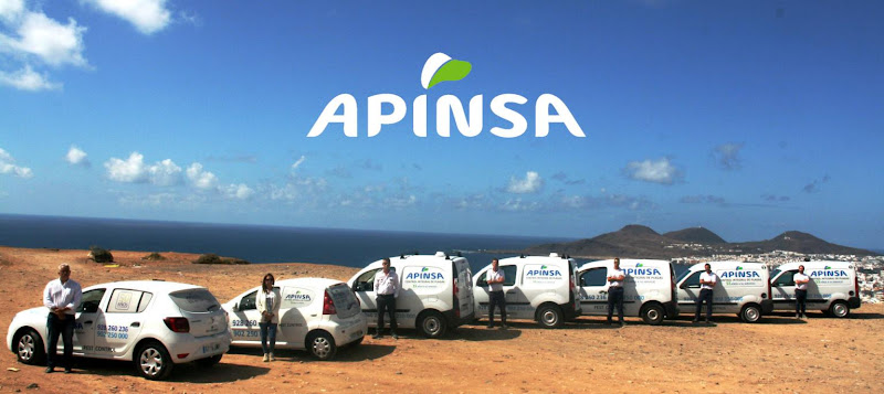 Negocio Apinsa La Palma