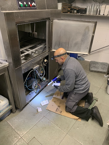 Negocio Apolo Control De Plagas, S.l.u