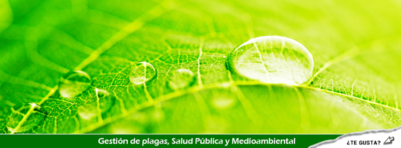 Negocio Asociación Nacional De Empresas De Sanidad Ambiental (Anecpla)