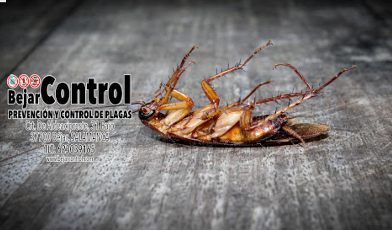 Negocio Bejarcontrol