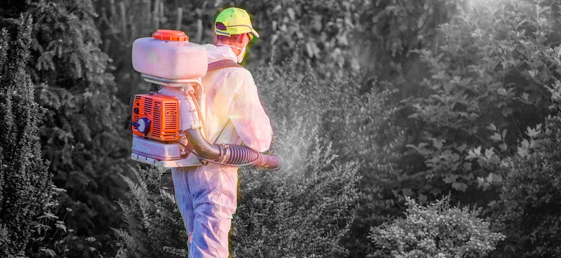 Negocio Bio - Control De Plagas Alicante