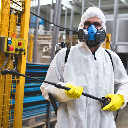 Negocio Biocisal Control De Plagas Madrid Sl - Desratización, Desinsectación Y Desinfección