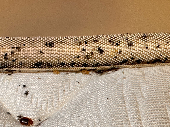 Negocio Bscp Barcelona Seguridad Y Control De Plagas