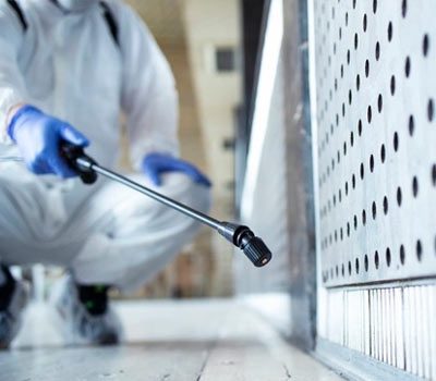 Negocio Byostasys | Control De Plagas En Madrid