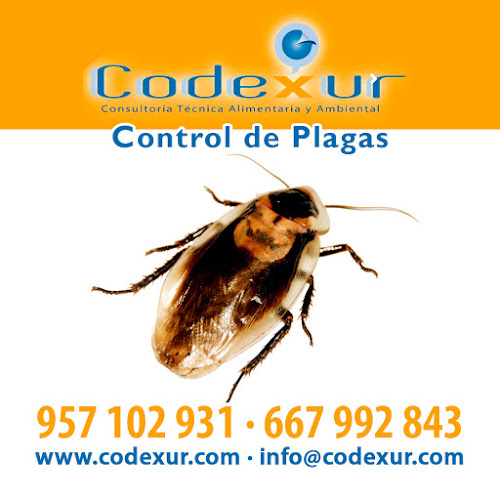 Negocio Codexur Consultoría Alimentaria Y Ambiental