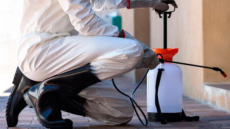 Negocio Comercial Campos S.l.