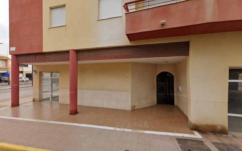 Negocio Control De Chinches