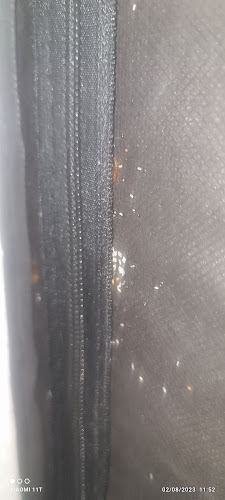 Negocio Control De Plaga Madrid - Fumigaya - Eliminacion De Chinches En Madrid