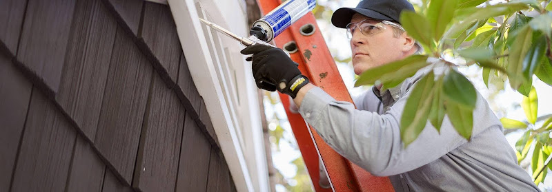 Negocio Control De Plaga