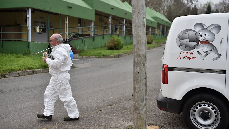 Negocio Control De Plagas Andrade