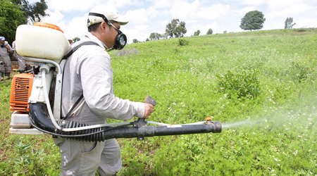 Negocio Control De Plagas Badajoz