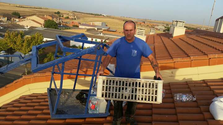 Negocio Control De Plagas - Cazalias