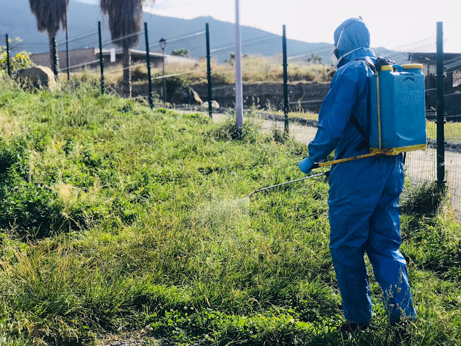 Negocio Control De Plagas - Conpla