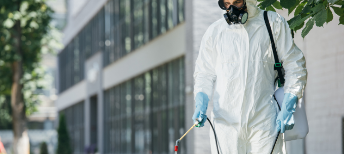 Negocio Control De Plagas Cordoba