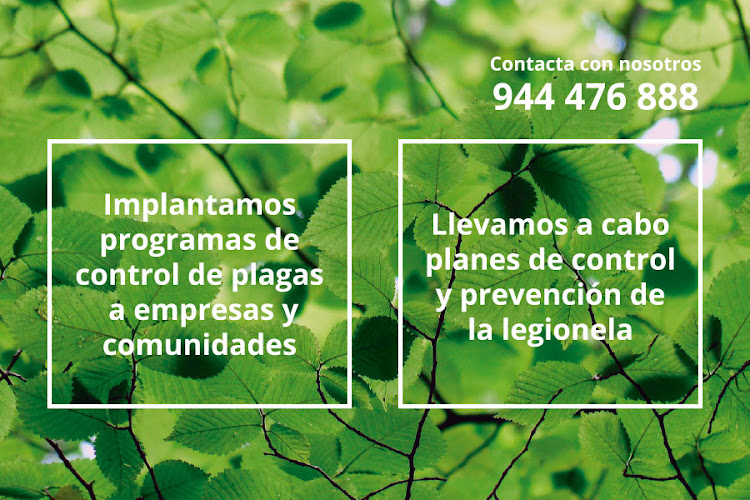 Negocio Control De Plagas De Termitas Y Carcoma Sitehisa