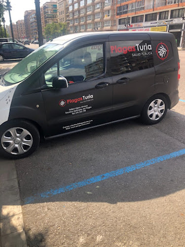 Negocio Control De Plagas En Valencia Plagasturia