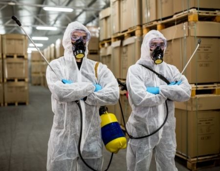 Negocio Control De Plagas Gutvi - Desinsectación, Desratización Y Desinfección - Cornellá