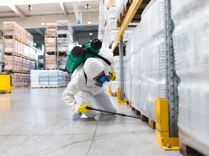 Negocio Control De Plagas Jaén · Olivar Falcon