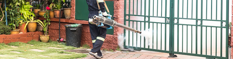 Negocio Control De Plagas Málaga - Higiser