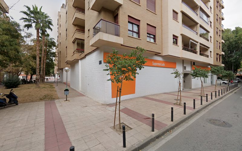 Negocio Control De Plagas Murcia