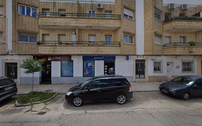 Negocio Control De Plagas Serint