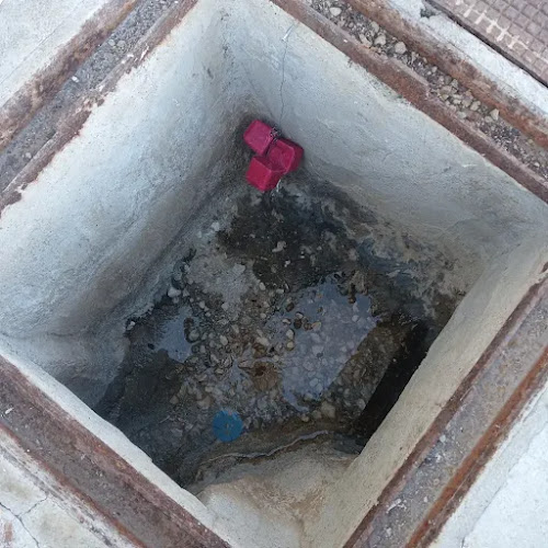 Negocio Control De Plagas Triple D. S.l