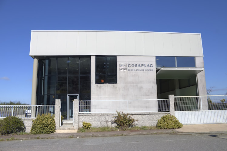 Negocio Cosaplag S.l.u.