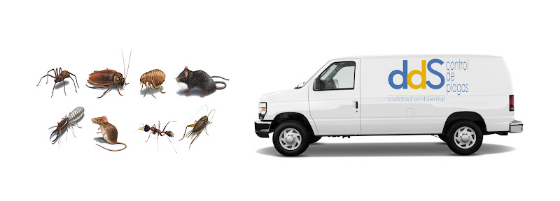 Negocio Dds Plagas | Control De Termitas | Eliminar Cucarachas