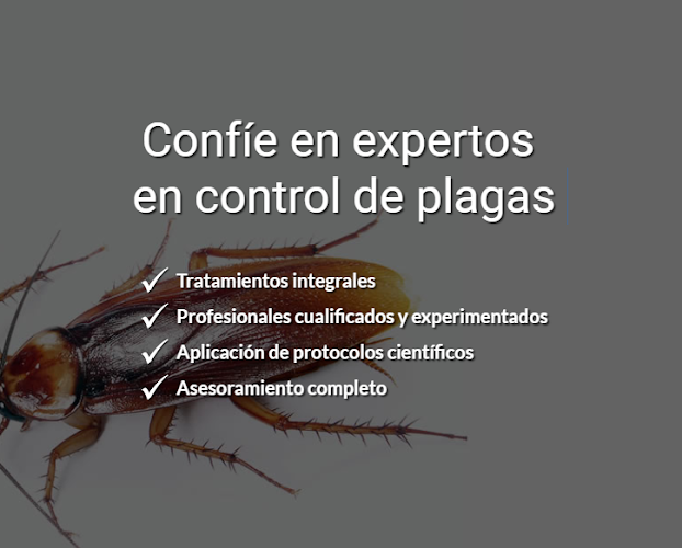Negocio Denfor, Epc, S.l.