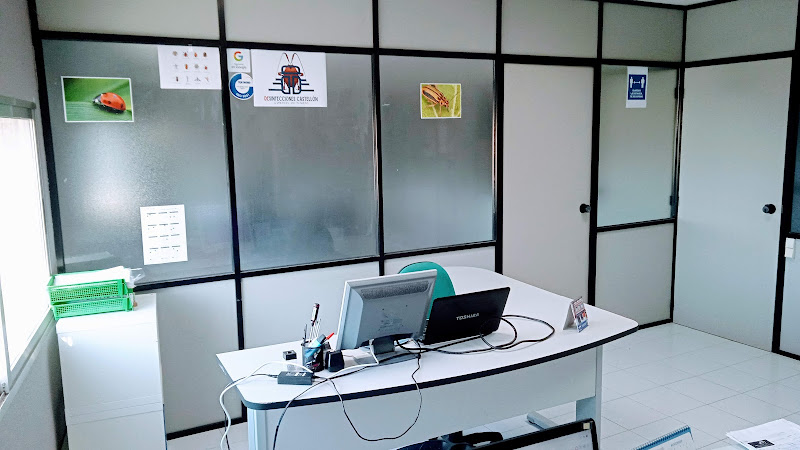 Negocio Desinfecciónes Castellón