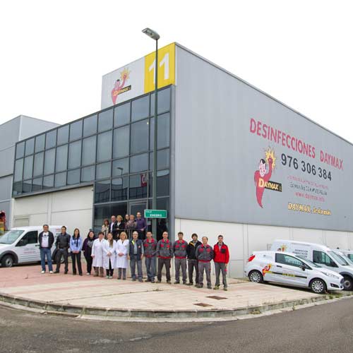 Negocio Desinfecciones Daymax