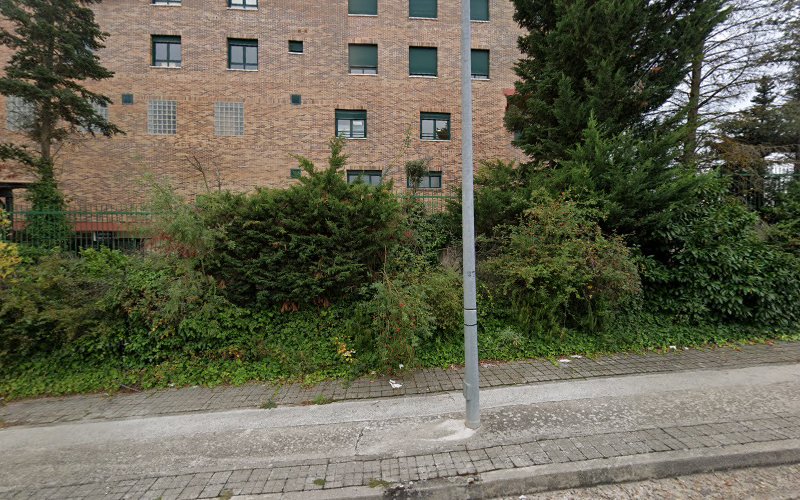 Negocio Desinfecciones Gima