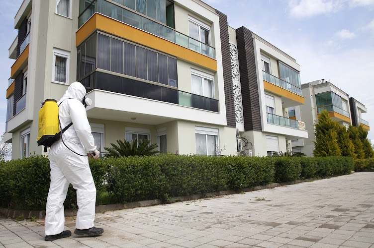 Negocio Desinfecciones La Mancha