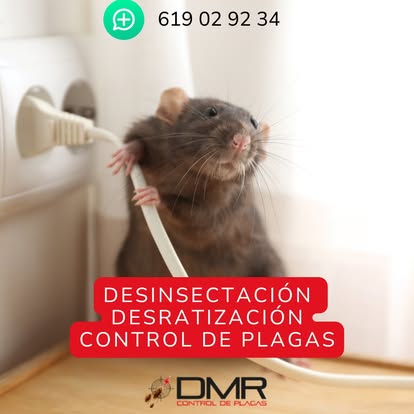 Negocio Desinfecciones Y Control De Plagas Dmr En Vélez Málaga Y Málaga
