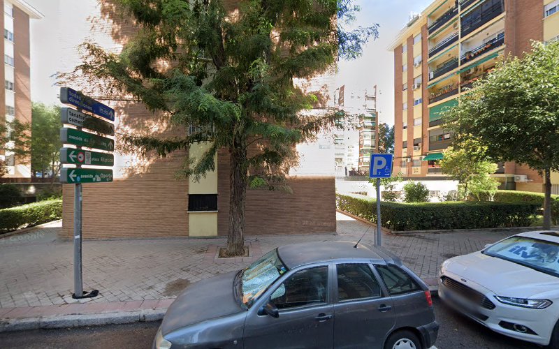 Negocio Desinsectaciones La Estrella Polar S L