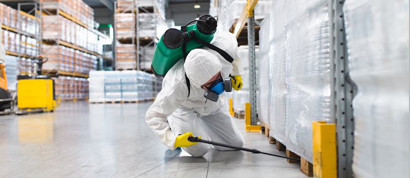 Desratizaciones Grupo Muñoz S.l