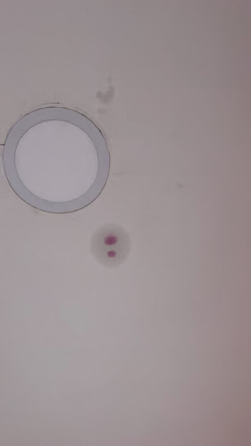 Negocio Desratizaciones Parque S.l.