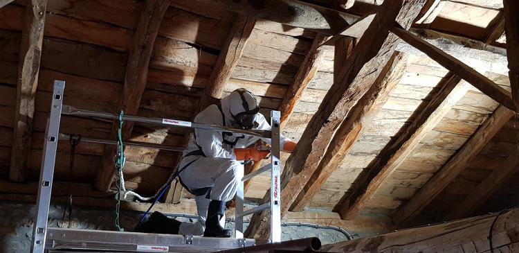 Negocio D'innamic Serveis