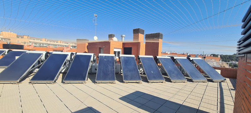 Negocio Ecobiocen Control De Plagas Fumigaciones Cucarachas Termitas Aves Lgionela Tarragona Ecobiocen