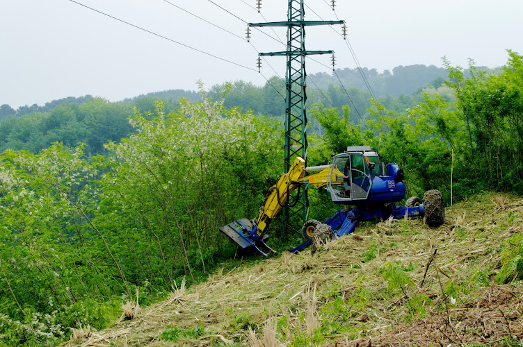 Negocio Ecoespacio & Control De Plagas