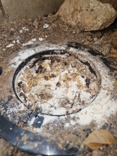 Negocio Ecomol - Control De Plagas Y Termitas