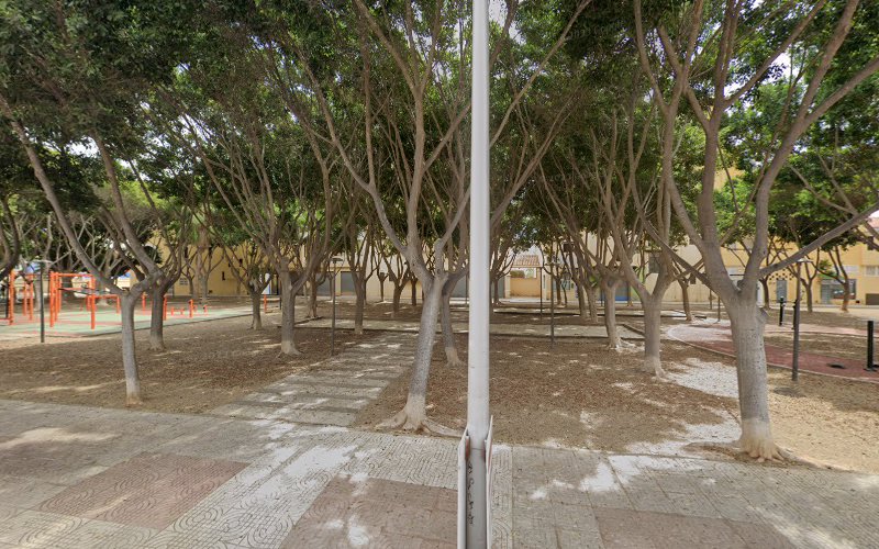 Negocio Empresa De Fumigación Y Control De Plagas - Desinfeccione Marplaga Sl