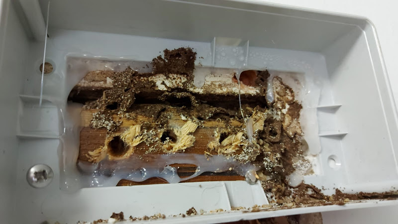 Negocio Fastcontrol Bcn