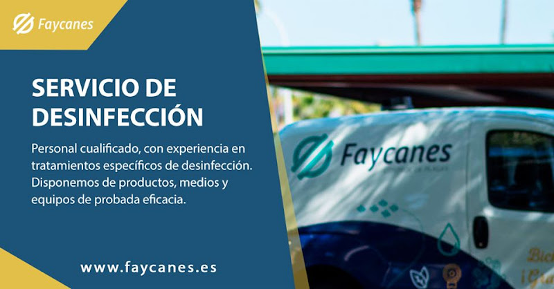 Negocio Faycanes