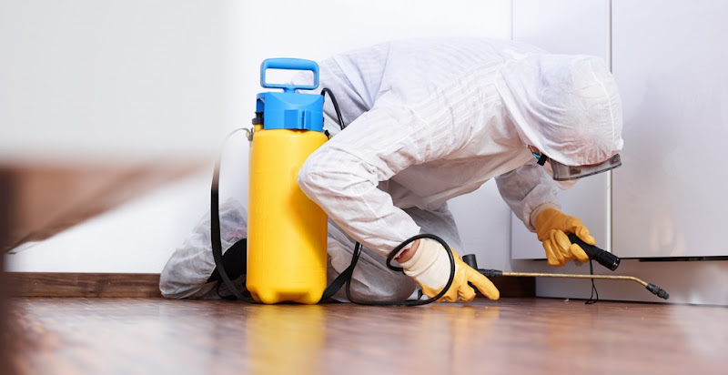 Negocio Fulminix S.l