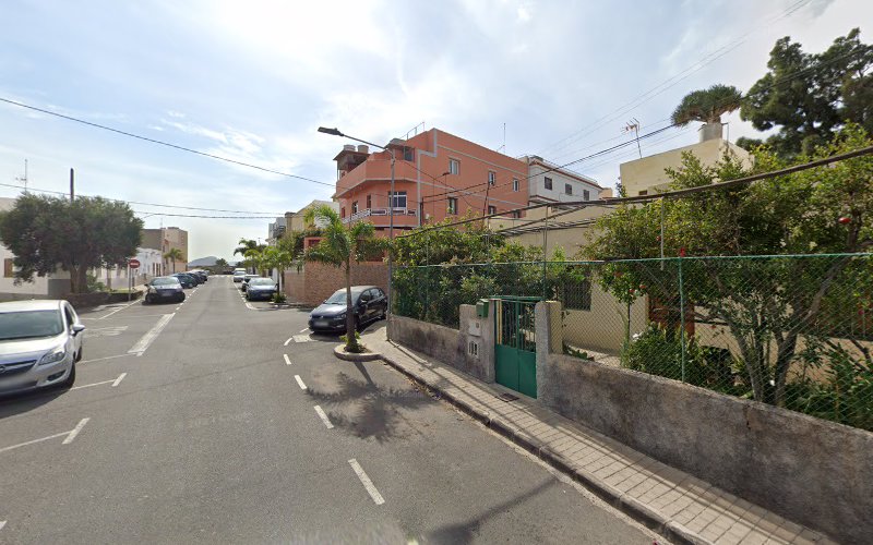 Negocio Fumigaciones Lider Canarias - Fumigacion Y Control De Plagas