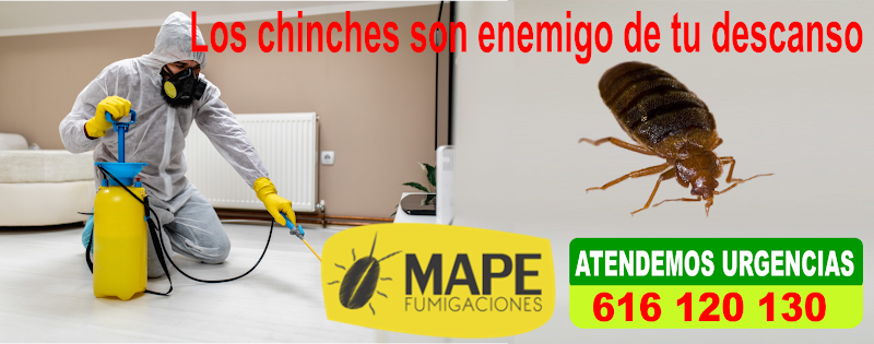 Negocio Fumigaciones Mape Servicios En Barcelona Y Toda Catalunya