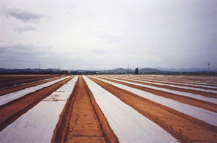 Negocio Fumigasa, S.l.